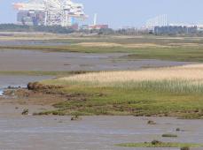 Un port dans l'estuaire