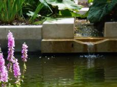 Le jardin du silence Carmel, Le Havre