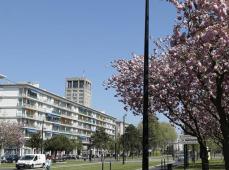 Avenue Foch en fleur, Le Havre