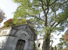 cimetiere-sainte-marie