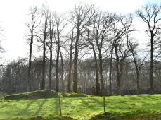Turretot - Clos hirondelle