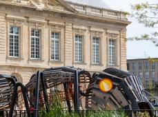 Museum d'histoire naturelle