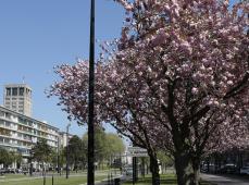 Avenue Foch, Le Havre