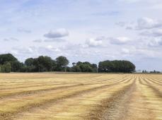 Balade rurale, Saint-Romain-de-Colbosc