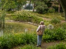 Jardin japonais
