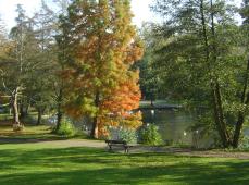 Parc de Rouelles