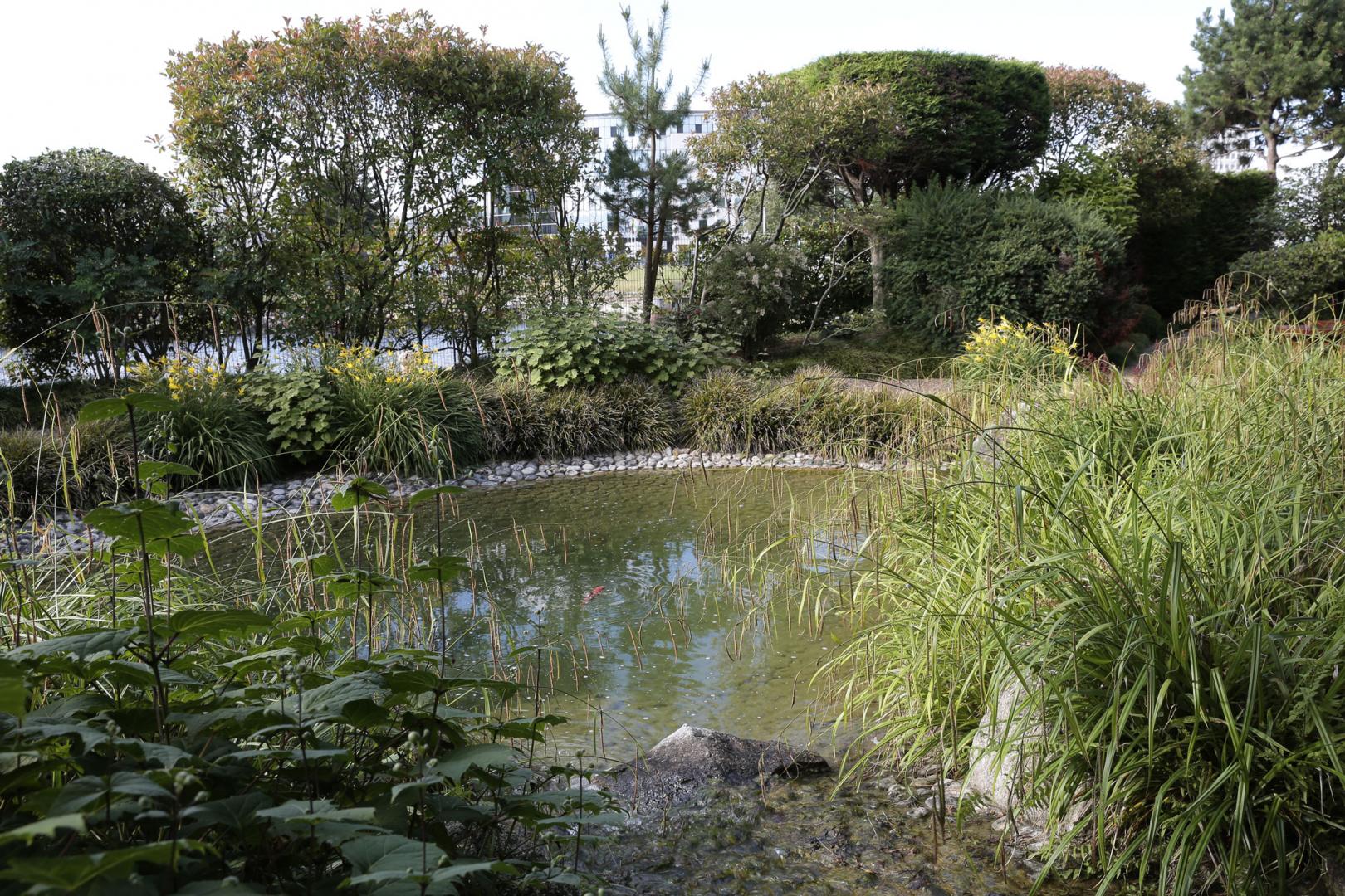 Jardin japonais  Site officiel de la Ville du Havre – Le Havre