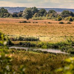 Paysage de la Réserve Naturelle de l'Estuaire de la Seine