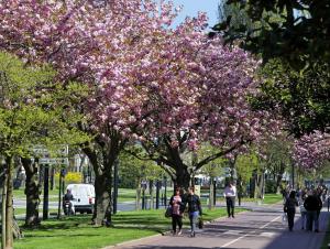 Avenue Foch, Le Havre