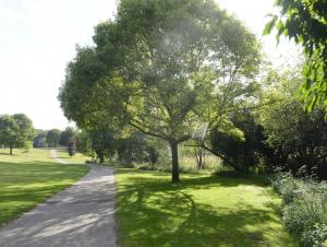 Chemin dans le parc de Rouelles