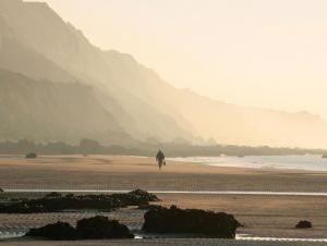 Falaises, Antifer