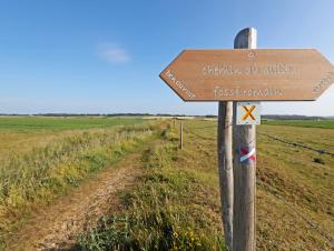 Chemin des fossés romains de Bénouville