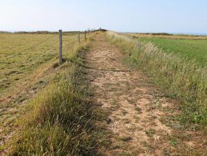 Chemin des fossés romains de Bénouville