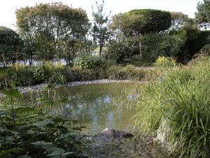 Étang du jardin japonais, Le Havre