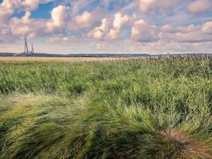 Pont de Normandie