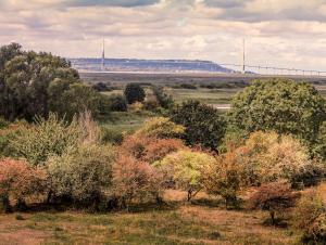 Réserve Naturelle de l'Estuaire de la Seine - Pont de Normandie