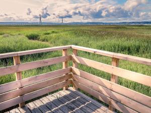 Réserve Naturelle de l'Estuaire de la Seine - Vue du Pont de Normandie