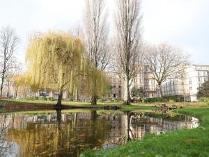 Bassin du square Saint-Roch