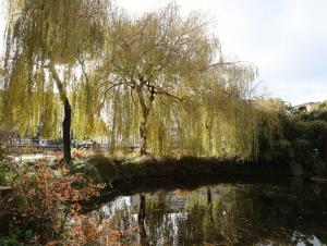 Mare du square Saint-Roch