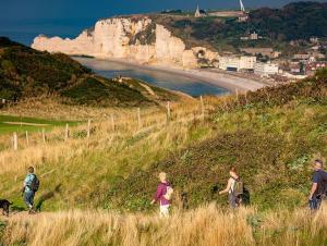 Falaises, Le Tilleul-Étretat