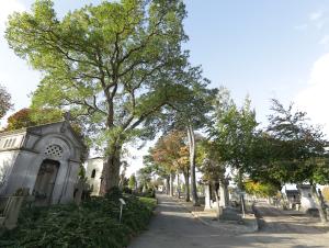 cimetiere-sainte-marie