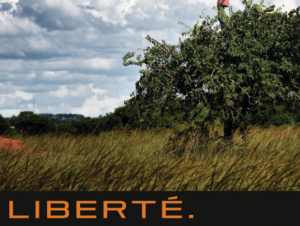 Affiche du Printemps des poètes