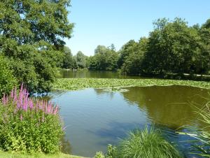 Parc de Rouelles