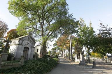 Cimetière Sainte-Marie, Le Havre