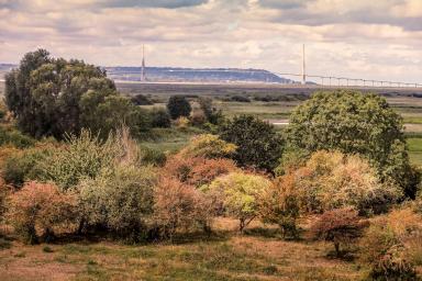 Réserve Naturelle de l'Estuaire de la Seine - Pont de Normandie