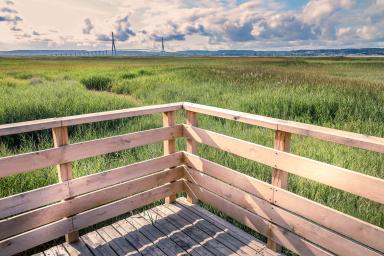Réserve Naturelle de l'Estuaire de la Seine - Vue du Pont de Normandie