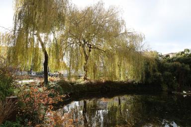 Mare du square Saint-Roch