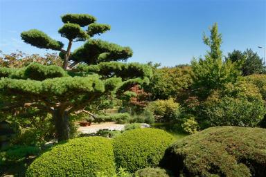 Jardin japonais, Le Havre