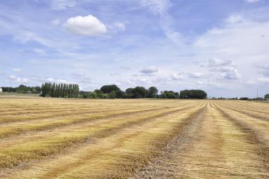 Balade rurale, Saint-Romain-de-Colbosc