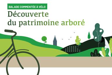 Patrimoine arboré