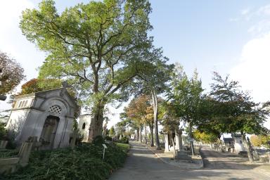 cimetiere-sainte-marie