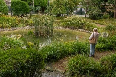 Jardin japonais