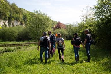 Cressonnières au pied de la falaise