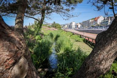 Promenade sur la plage du Havre