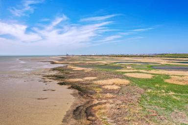 Phoques, vasières et roselières