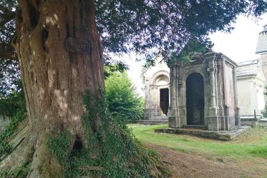 Cimetière de Saint-Aubin-Routot
