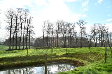 Turretot - Clos hirondelle