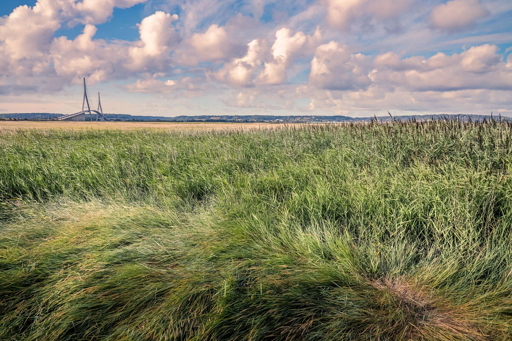 Pont de Normandie