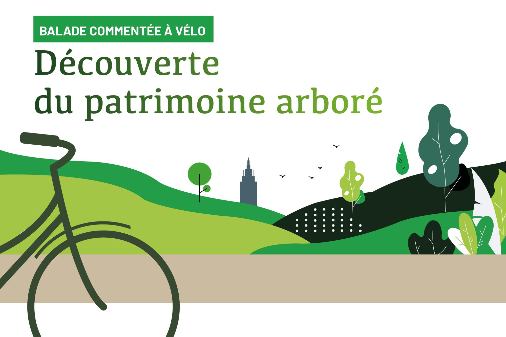 Patrimoine arboré