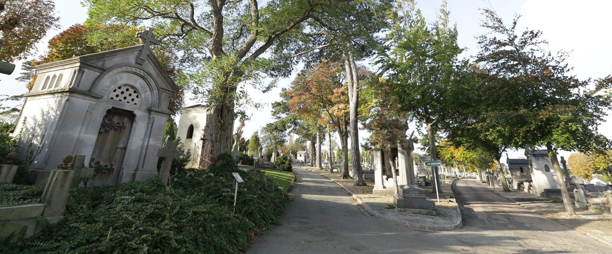 cimetiere-sainte-marie