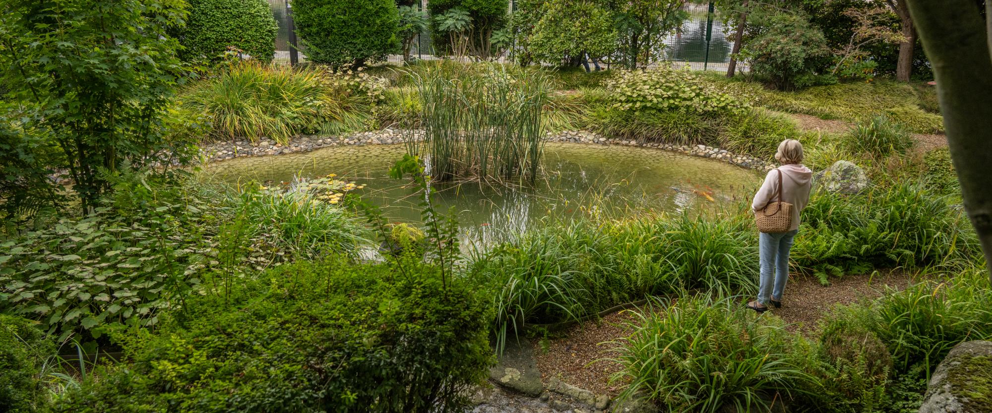 Jardin japonais